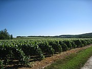 Dimanche JPV (16).jpg